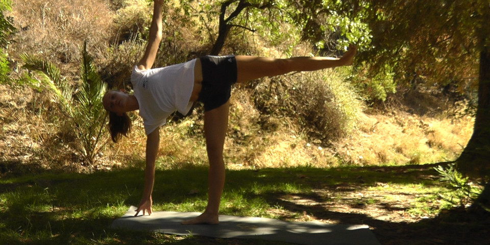 Perfecting Yoga Alignment