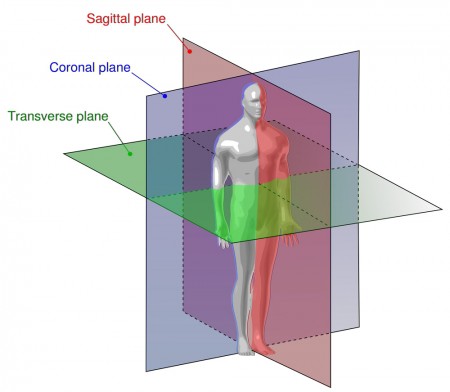 Planes Of The Body